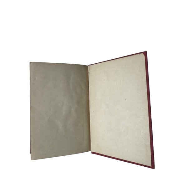 Charles Dickens Little Folks Two Daughters From The Martin Chuzzlewit Illus 1866 - Picture 12 of 14